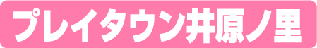 プレイタウン井原ノ里